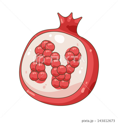 Illustration of pomegranate Illustration of pomegranate 143812673