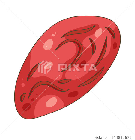 Illustration of goji berry Illustration of goji berry 143812679