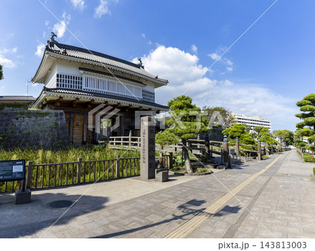 鹿児島市の鹿児島(鶴丸)城 御楼門の風景 鹿児島市の鹿児島(鶴丸)城 御楼門の風景 143813003