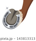 shiny horseshoe attached to a horse's hoof cartoon vector illustration element design 143813313