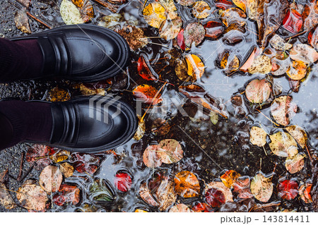 A pair of black leather loafers on wet pavement covered with autumn leaves. Rainy scene with feet in black boots in paddle with autumn fallen leaves. Autumnal street fashion. Autumn day concept. A pair of black leather loafers on wet pavement covered with autumn leaves. Rainy scene with feet in black boots in paddle with autumn fallen leaves. Autumnal street fashion. Autumn day concept. 143814411