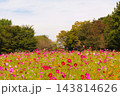 旧青木家那須別邸 143814626