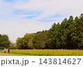 旧青木家那須別邸 143814627