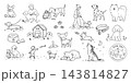 犬のペン画イラストセット（散歩する・遊ぶ・眠る） 143814827