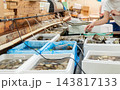 鮮魚店で水槽の貝類を選ぶ客の手元　魚介類の買い物　マーケットでの買い物 143817133