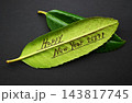 タラヨウ・多羅葉・葉の裏に文字が書ける・葉書の語源・郵便局の木 143817745