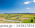 大津市北小松の田園風景　滋賀県 143817858