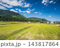 大津市北小松の田園風景　滋賀県 143817864
