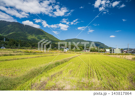 大津市北小松の田園風景 滋賀県 大津市北小松の田園風景 滋賀県 143817864