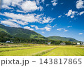 大津市北小松の田園風景　滋賀県 143817865