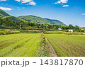 大津市南小松の田園風景　滋賀県 143817870