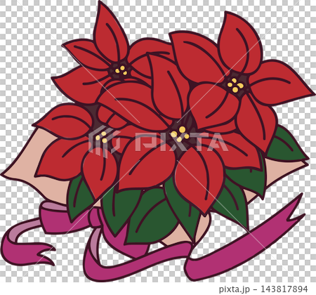 一束一品紅的插圖 143817894