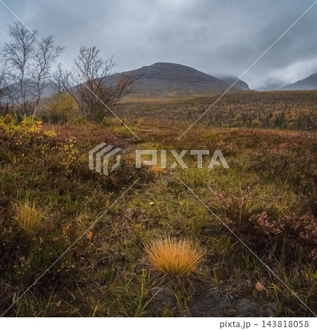 Vertical Autumn Tundra Trail with Fluffy Golden Grass and Moody Mountain 143818058