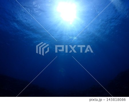 海中から見上げた太陽 海中から見上げた太陽 143818086