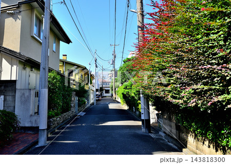 東京渋谷区大山町 徳川山に広がる閑静な高級住宅街 東京渋谷区大山町 徳川山に広がる閑静な高級住宅街 143818300