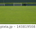Green soccer field pitch with football goals and white lines 143819508
