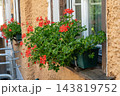 Red Geranium Flowers Blooming in Window Box Planter on Rustic Yellow Building Facade Exterior 143819752