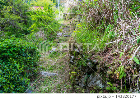 【重要伝統的建造物群保存地区】東祖谷山村落合　初夏の風景　里道（赤筋道）6　徳島県三好市 143820177