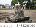 久留米市　五穀神社 狛犬 143820190