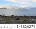 雪化粧の山々と湖畔の風景　ニュージーランド　テカポ 143820279