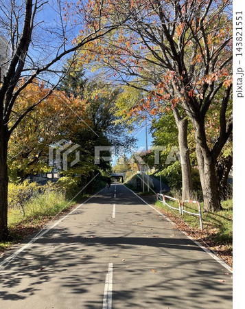 初秋の散歩道 初秋の散歩道 143821551