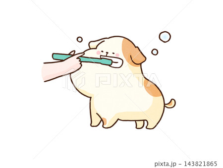 人間に歯ブラシで歯を磨いてもらっている犬（ペットのデンタルケア） 143821865