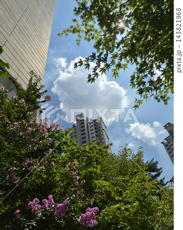 These are apartment buildings and landscaping trees. These are apartment buildings and landscaping trees. 143821968