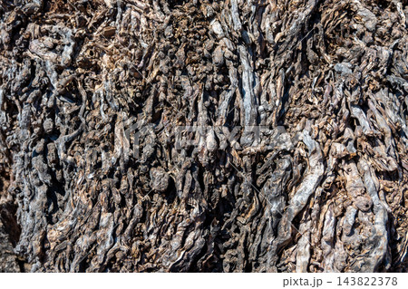 Close-up of gnarled, weathered tree bark revealing intricate wood grain, deep fissures and rustic textures. Natural, aged surface ideal for backgrounds, nature details, macro texture and organic desig 143822378