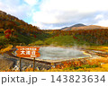 十月の北海道、秋深まる北海道、紅葉のニセコ、蘭越町にある大湯沼、雪秩父の温泉とニセコアンヌプリ 143823634