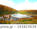 十月の北海道、秋深まる北海道、紅葉のニセコ、蘭越町にある大湯沼、雪秩父の温泉とニセコアンヌプリ 143823638