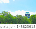 大阪府大阪市、大阪城の風景 大阪府大阪市、大阪城の風景 143823918
