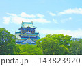 大阪府大阪市、大阪城の風景 大阪府大阪市、大阪城の風景 143823920