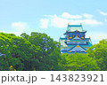 大阪府大阪市、大阪城の風景 大阪府大阪市、大阪城の風景 143823921