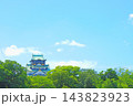 大阪府大阪市、大阪城の風景 大阪府大阪市、大阪城の風景 143823923