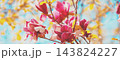 Blooming magnolia tree in the botanical garden 143824227