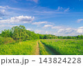 View of beautiful rural landscape on a sunny day in summer. Country dirt road in the field. 143824228