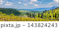 Vineyard in Tuscany. Beautiful landscape of Tuscany. Valley with a beautiful cloudy sky on a spring sunny day. Italy, Europe 143824243