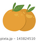 Pair of mandarin oranges with green leaves Chinese New Year 143824510