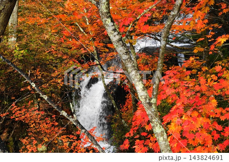 真紅に紅葉したもみじに包まれた竜頭ノ滝 10月日光129竜頭ノ滝・紅葉 真紅に紅葉したもみじに包まれた竜頭ノ滝 10月日光129竜頭ノ滝・紅葉 143824691