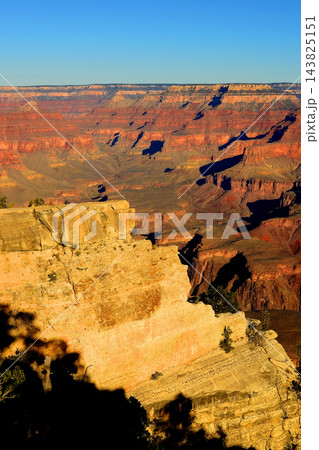 Grand Canyon Arizona Grand Canyon Arizona 143825151