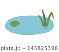 水生植物と浮き葉があるシンプルな池のイラスト 143825396