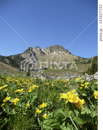 Panorama mountain view to Rotwand mountain, Bavaria, Germany 143827152