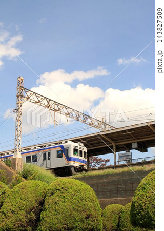 南海和歌山港駅に入線する南海電車 143827509