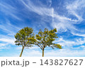 秋の青空と雲と樹木 143827627