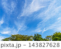 秋の青空と雲と樹木 143827628