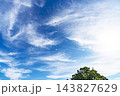 秋の青空と雲と樹木 143827629