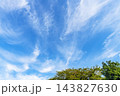 秋の青空と雲と樹木 143827630