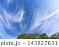 秋の青空と雲と樹木 143827631