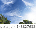秋の青空と雲と樹木 143827632