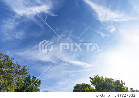 秋の青空と雲と樹木 143827632